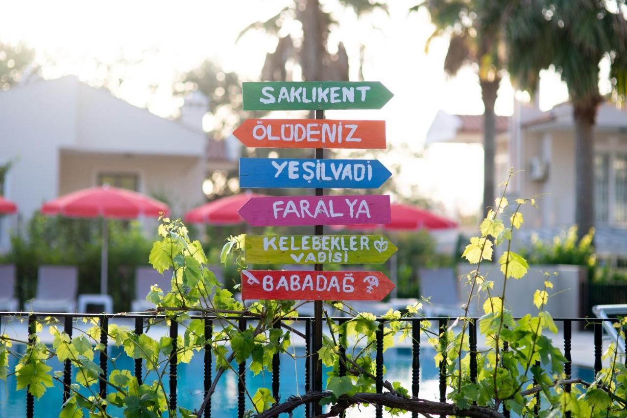 Paradise Apart